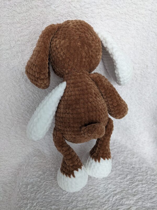 Catelus de plus crosetat - Teddy